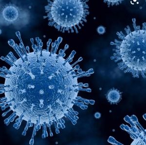 Meet your Posher, College